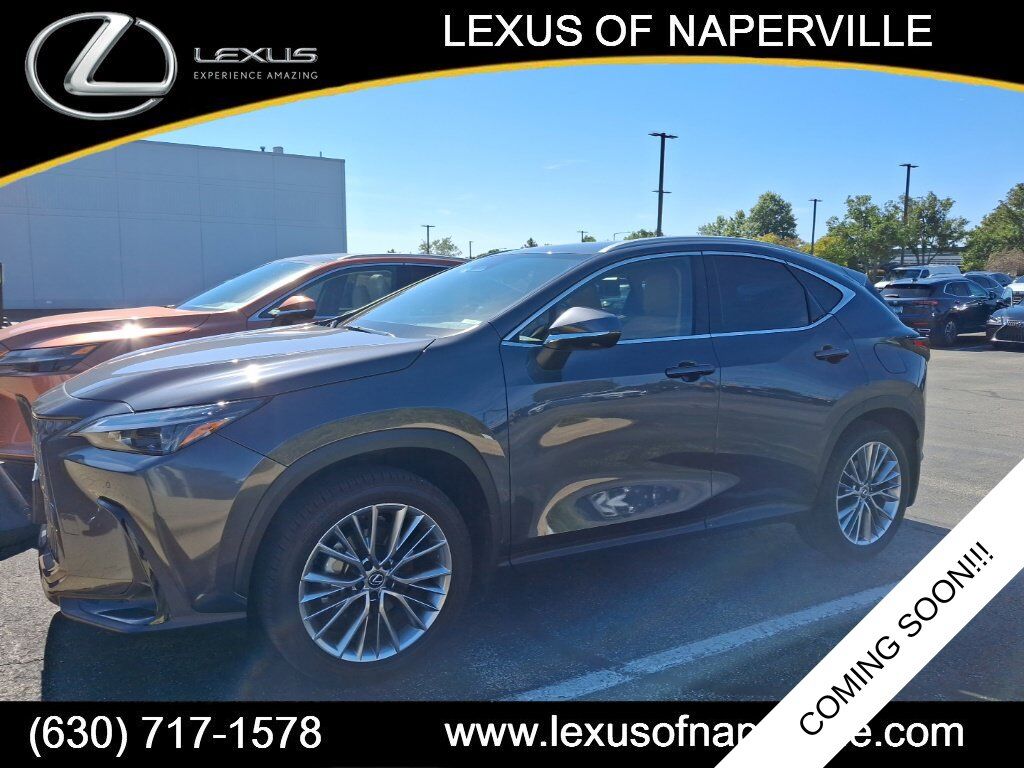 2025 LEXUS NX