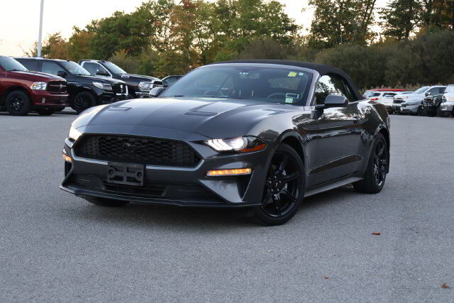 2019 FORD Mustang