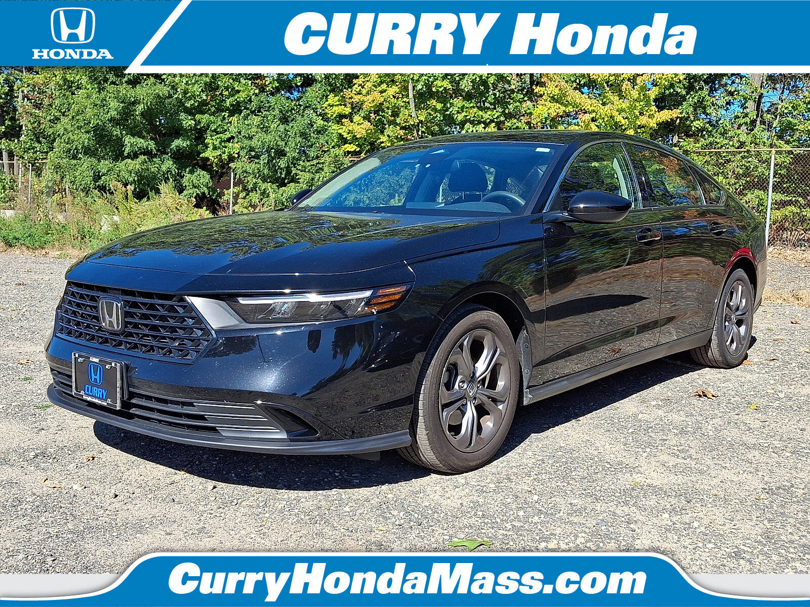 2024 HONDA Accord