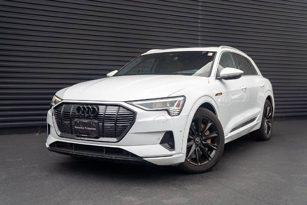 2019 AUDI e-tron