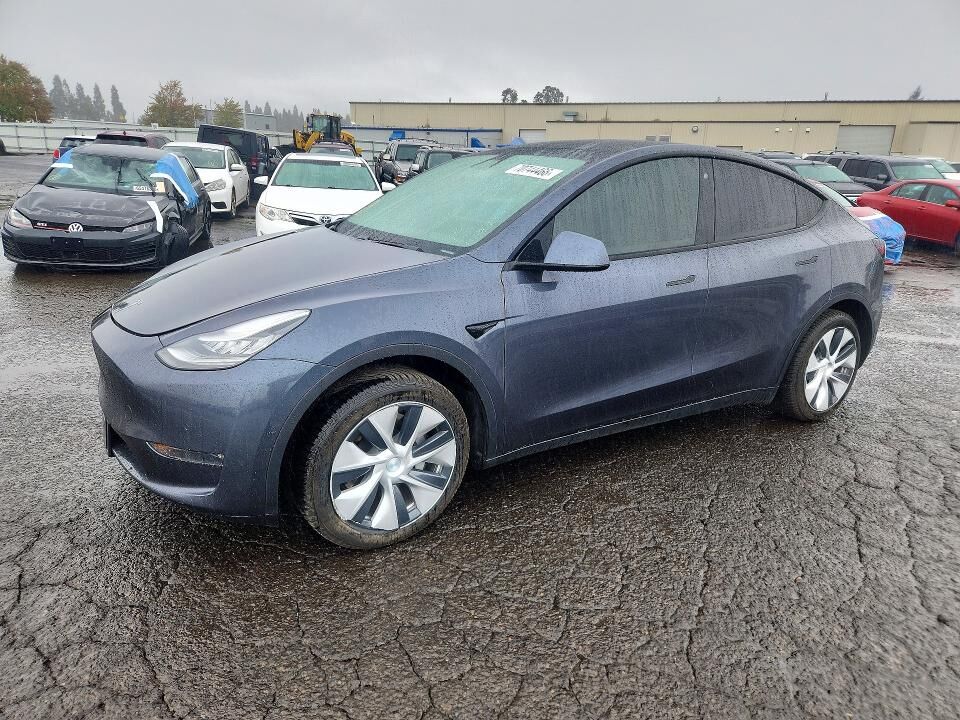 2020 TESLA Model Y