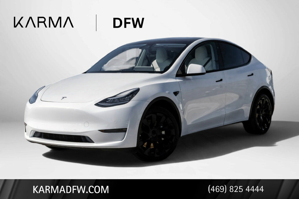2020 TESLA Model Y