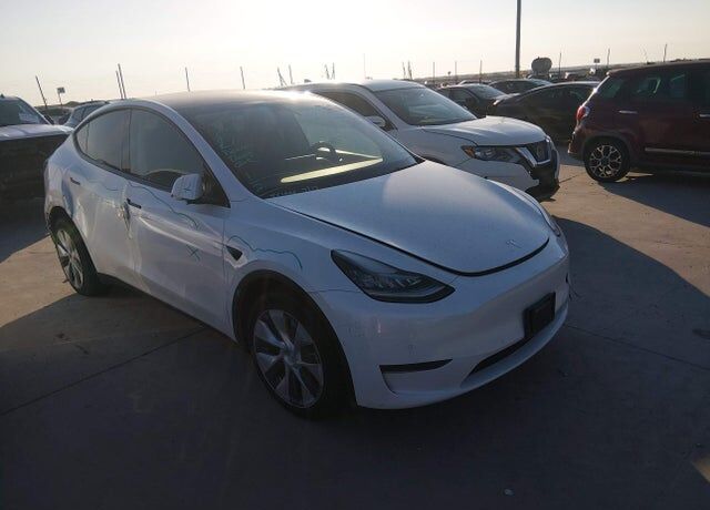 2021 TESLA Model Y