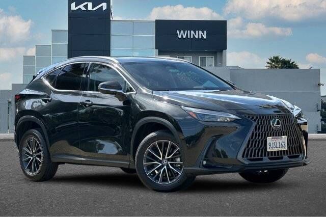 2024 Lexus NX